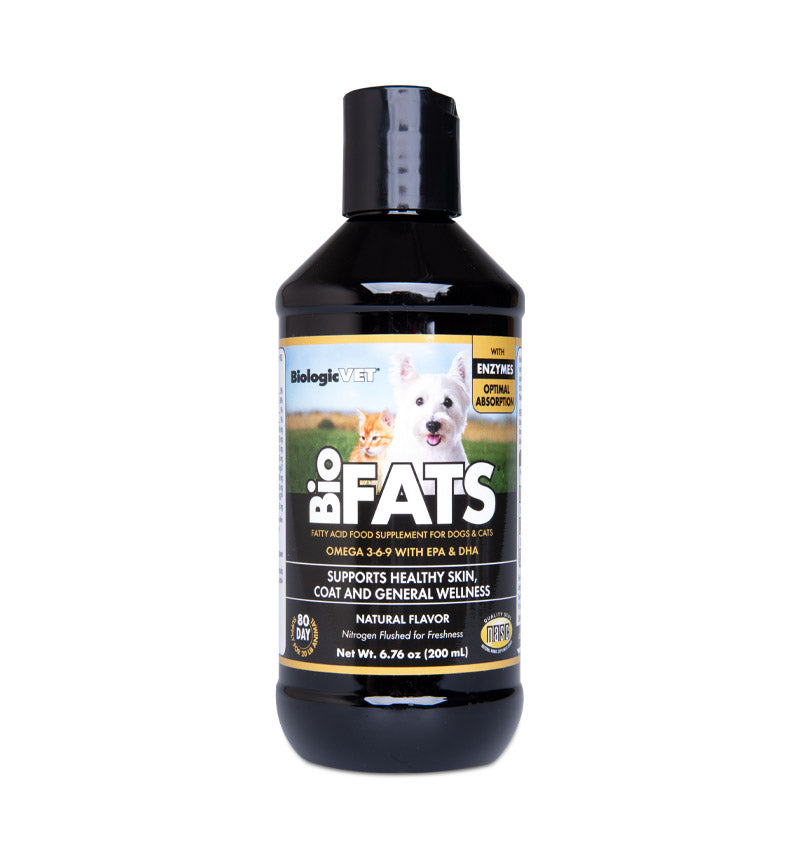 Omega 3 and shop 6 for cats